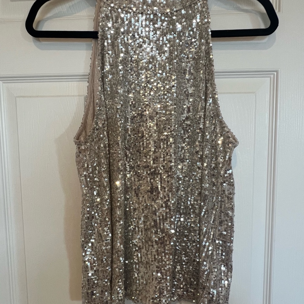 Love on a Hanger Sparkling Beige Top